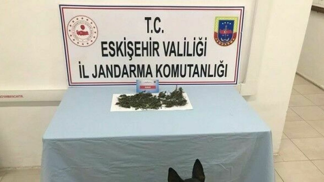 Eve saklanan uyuşturucu maddeleri jandarma narkotik köpeği Alfa buldu