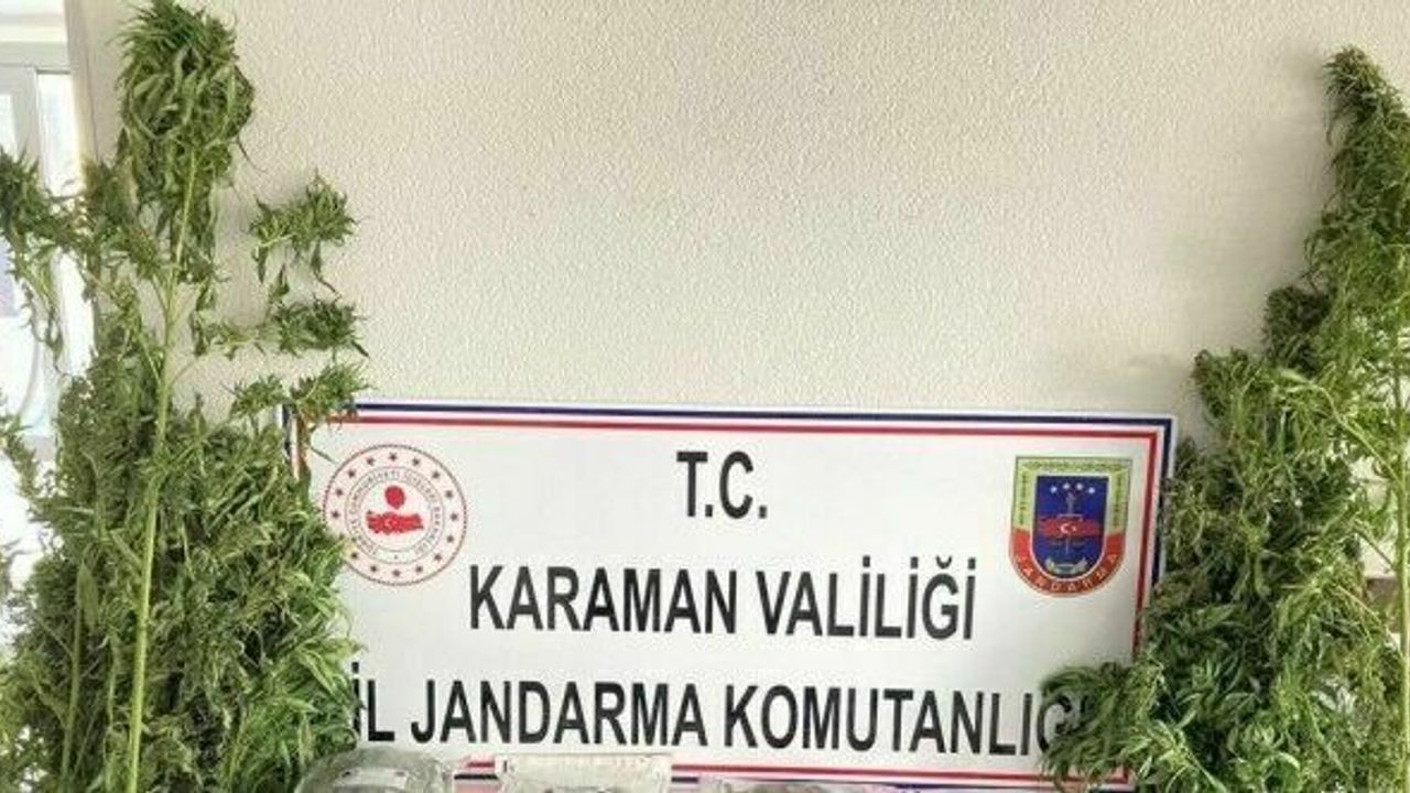 Karaman’da jandarmanın esrar operasyonunda 3 kişi gözaltına alındı
