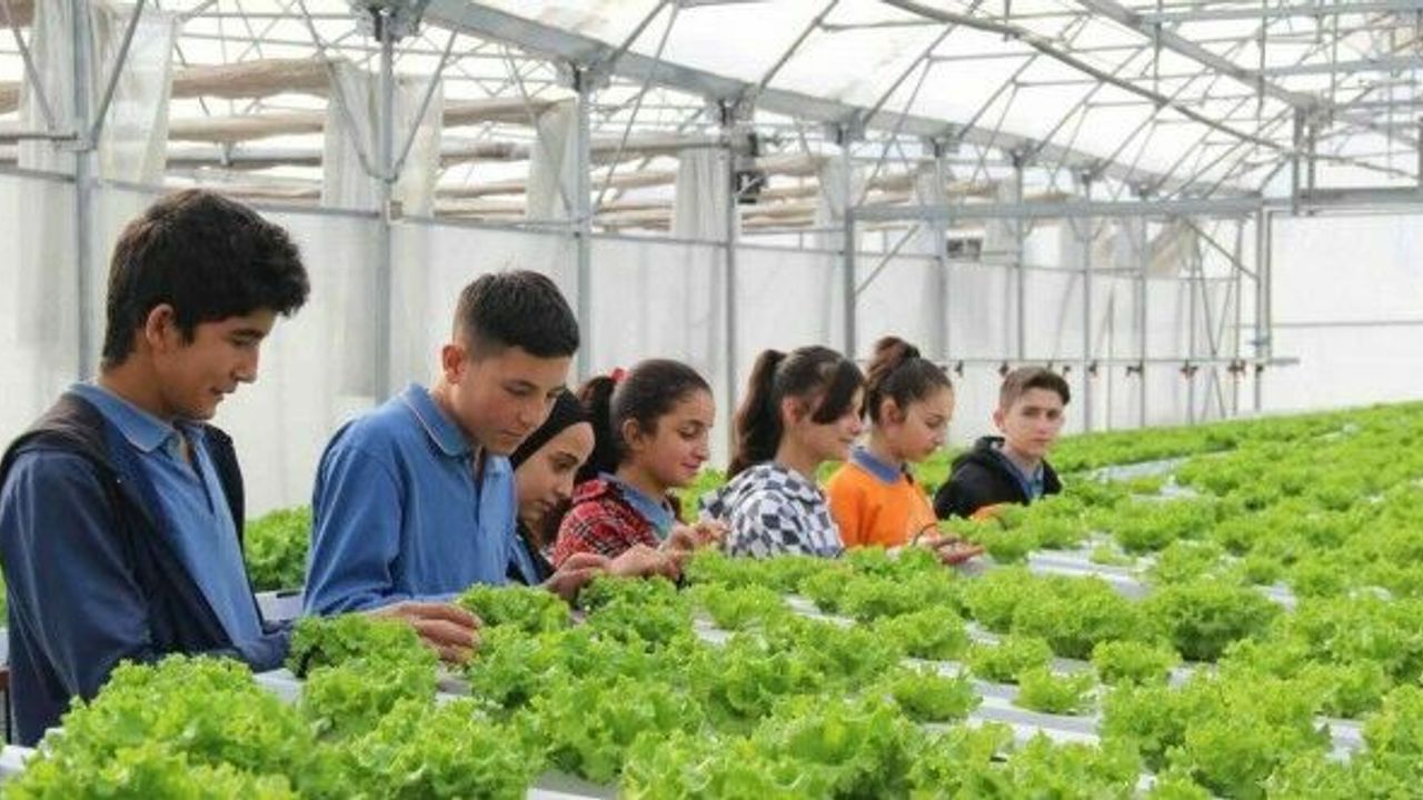 Ziraat Fakültesi gibi lise: Öğreniyor, üretiyor ve kazanıyorlar