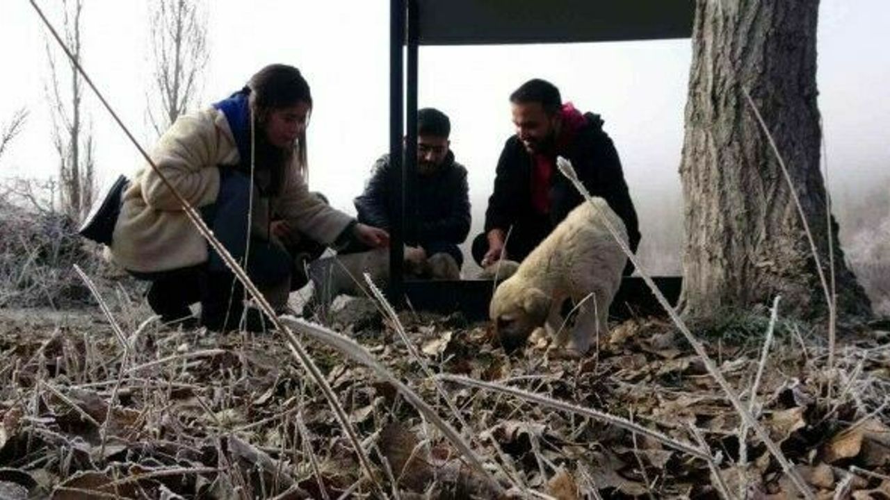 Hem israfın önüne geçiyorlar hem de sokak hayvanlarına ‘hayat’ oluyorlar