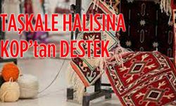 Taşkale halısı projesine destek