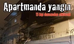 Yangın ucuz atlatıldı