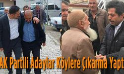 AK Adaylar Köylerde