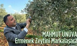 Mahmut Ünüvar: ‘’Ermenek zeytini markalaşacak’’
