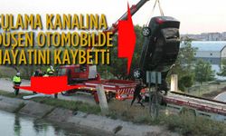Otomobil sulama kanalına düştü