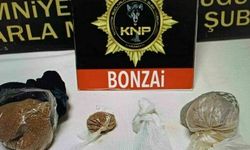 Bonzai satıcıları yakalandı