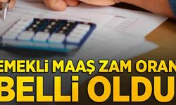 Emeklilerin zam oranı