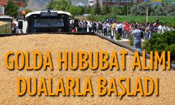 Hububat Alımlarına Başladı