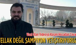 Fenomene kısa eğitim videosu