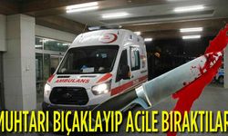 Muhtarı Yaralayıp acile bıraktılar
