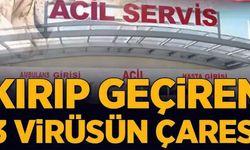 Bu 3 Virüs Kırıp Geçiriyor