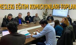 Mesleki eğitim komisyonları