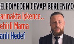 Barınak mı işkence kampı mı?