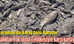 Karaman'da Binlerce Balık Ölüyor