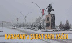 Kar yağışı devam ediyor