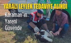 Yaralı Leylek Tedavi Altına Alındı