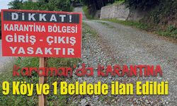 Şap nedeniyle 9 köyde karantina ilan edildi