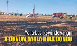 Tarla yangınında 6 dönüm arazi zarar gördü