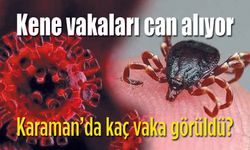 Karaman'da kaç tane Kene vakası görüldü