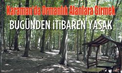 Karaman'da Ormanlık alanlar giriş yasaklandı