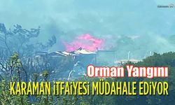 Karaman İtfaiyesi, Orman Yangınına Müdahale ediyor