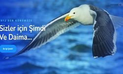 Azerbaycan Çeviri ve Sözlü Tercüme - Okeanostercume.com.tr