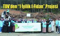 TDV’den “1 İyilik 1 Fidan” Projesiyle Fidan Seferberliği