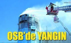 OSB’de Fabrikada Talaş Yangını Korkuttu