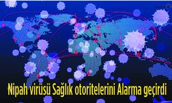 Nipah virüsü nedeniyle Sağlık Otoriteleri Alarm Durumuna Geçti