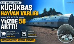 Karaman’da Küçükbaş Hayvancılığa Büyük Destek