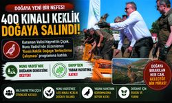 Karaman'da 400 Kınalı Keklik Doğaya Salındı