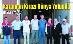 Karaman Kirazı Dünya Yolunda! Hasat Başladı