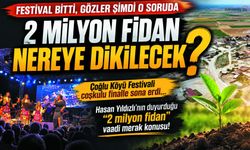 Festival Bitti, Gözler Şimdi 2 milyon fidanda!