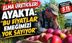 Üreticiler Tepkili; “BU FİYATLAR EMEĞİMİZİ YOK SAYIYOR”