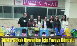 Atıklar Sokak Hayvanları İçin Yuvaya Dönüştü