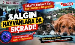 5 bin kişiyi hastanelik eden salgında evcil hayvan detayı!