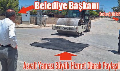 Dağ Fare Doğurdu