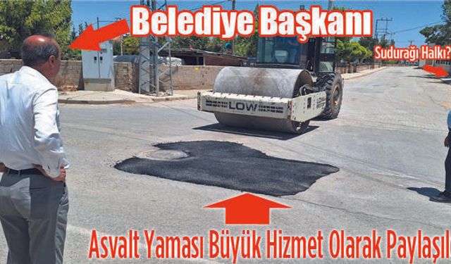 Dağ Fare Doğurdu