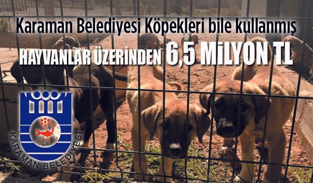 Barınak üzerinden 6 Milyon TL