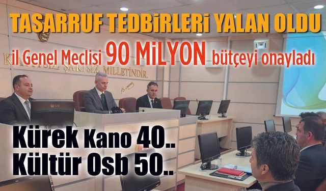 Milyonlar Vali'nin Hobilerine mi?