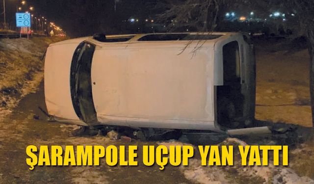 Kamyonet Şarampole uçup yan yattı