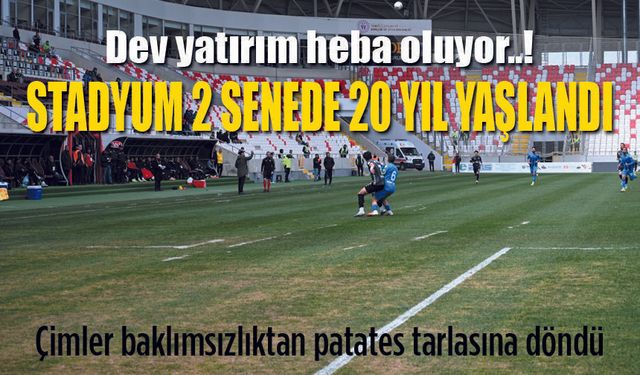 Stadyum Patates tarlasına döndü