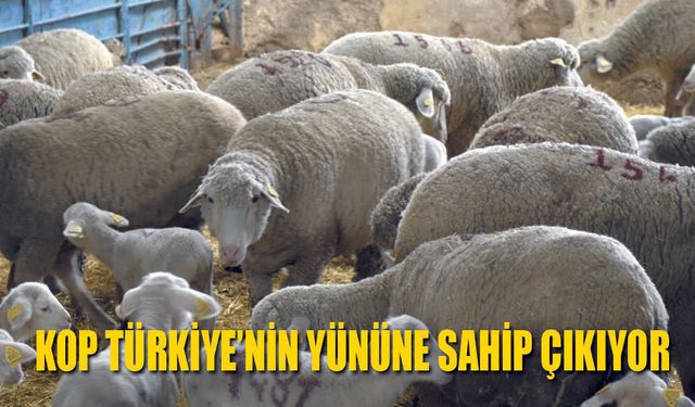 KOP Türkiye'nin yününe Sahip çıkıyor