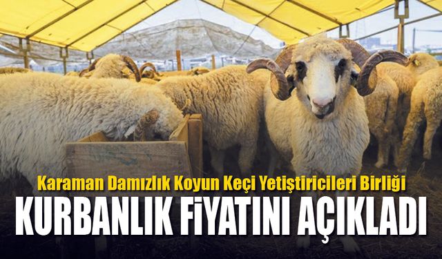 Karaman’da Küçükbaş Kurbanlık Fiyatları Açıklandı