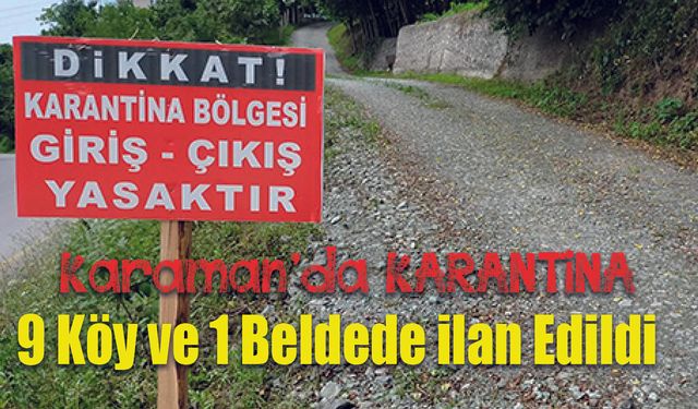 Şap nedeniyle 9 köyde karantina ilan edildi
