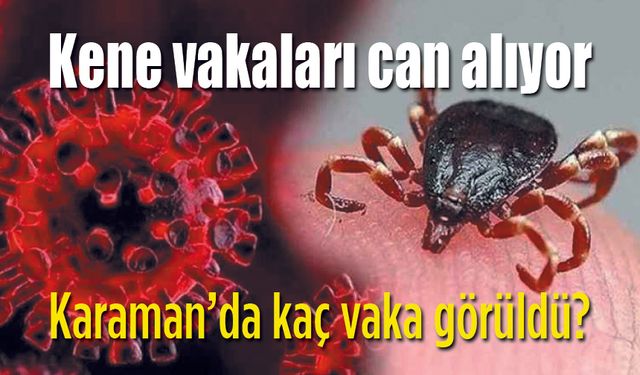 Karaman'da kaç tane Kene vakası görüldü