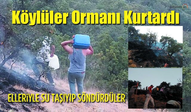Karaman’da İki Köyün Dayanışması Ormanı Kurtardı