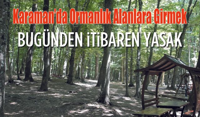 Karaman'da Ormanlık alanlar giriş yasaklandı