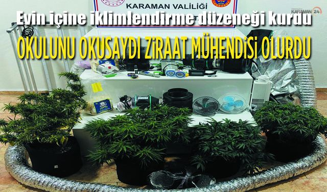 İklimlendirme düzeneği ile kenevir yetiştirdi