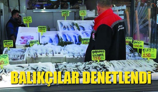 Karaman'da Balık Satış Yerlerine Hijyen Kontrolü Yapıldı
